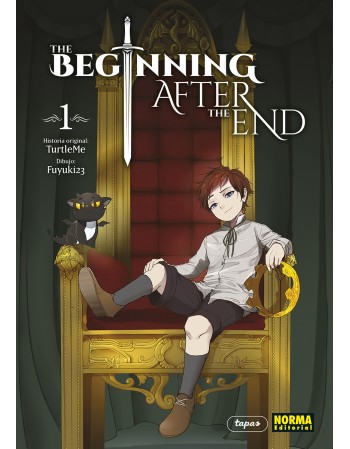 THE BEGINNING AFTER THE END 1