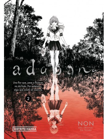 ADABANA Nº 2