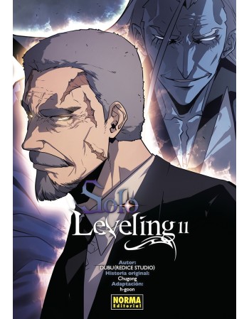 SOLO LEVELING Nº 11