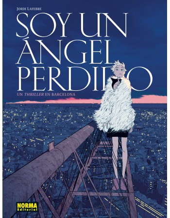 SOY UN ANGEL PERDIDO