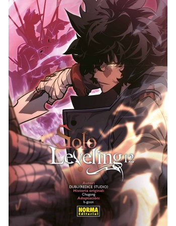 SOLO LEVELING Nº 12