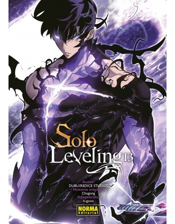 SOLO LEVELING Nº 13